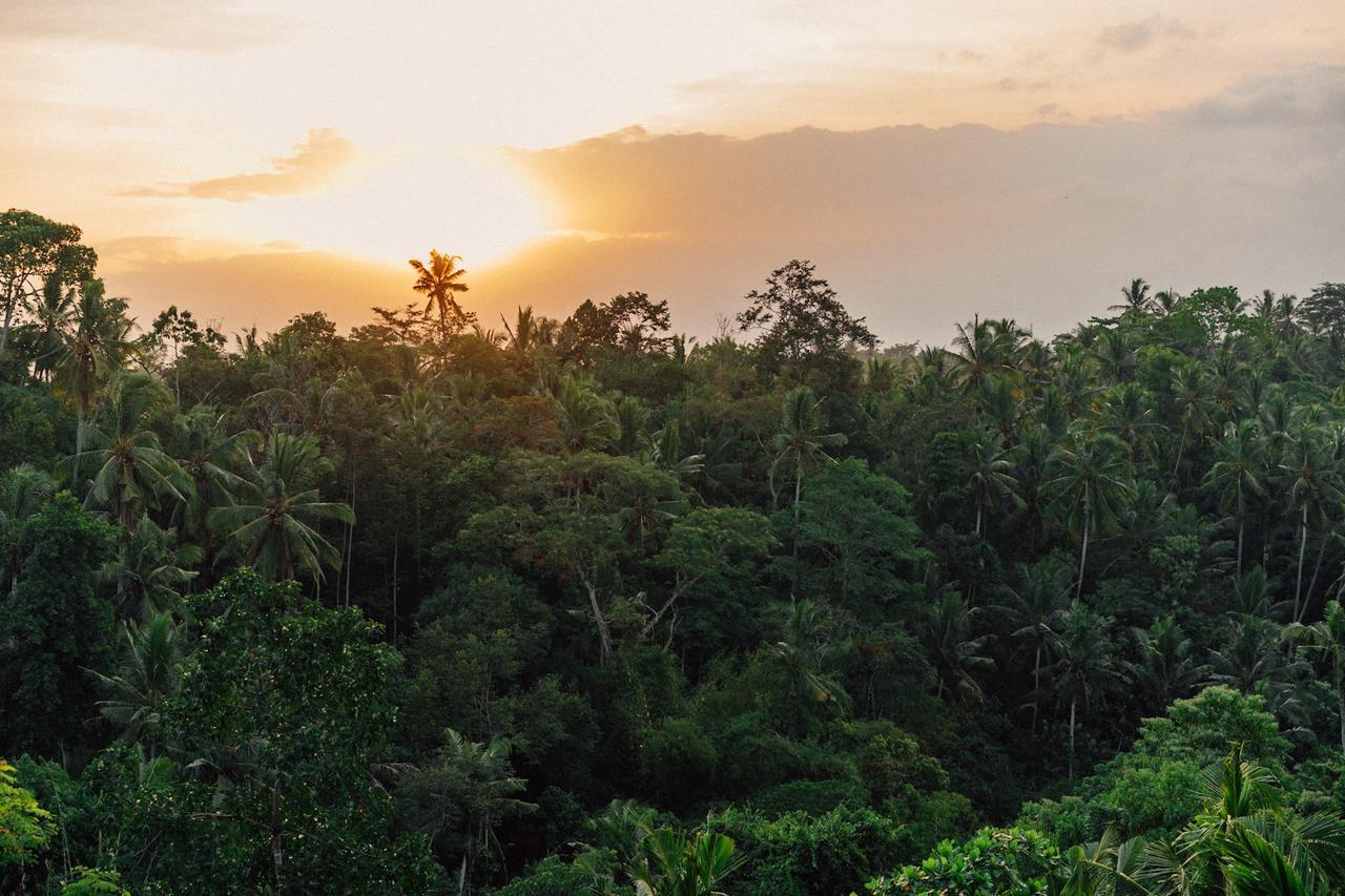 Bisma Eight - Chse Certified Hotell Ubud Exteriör bild